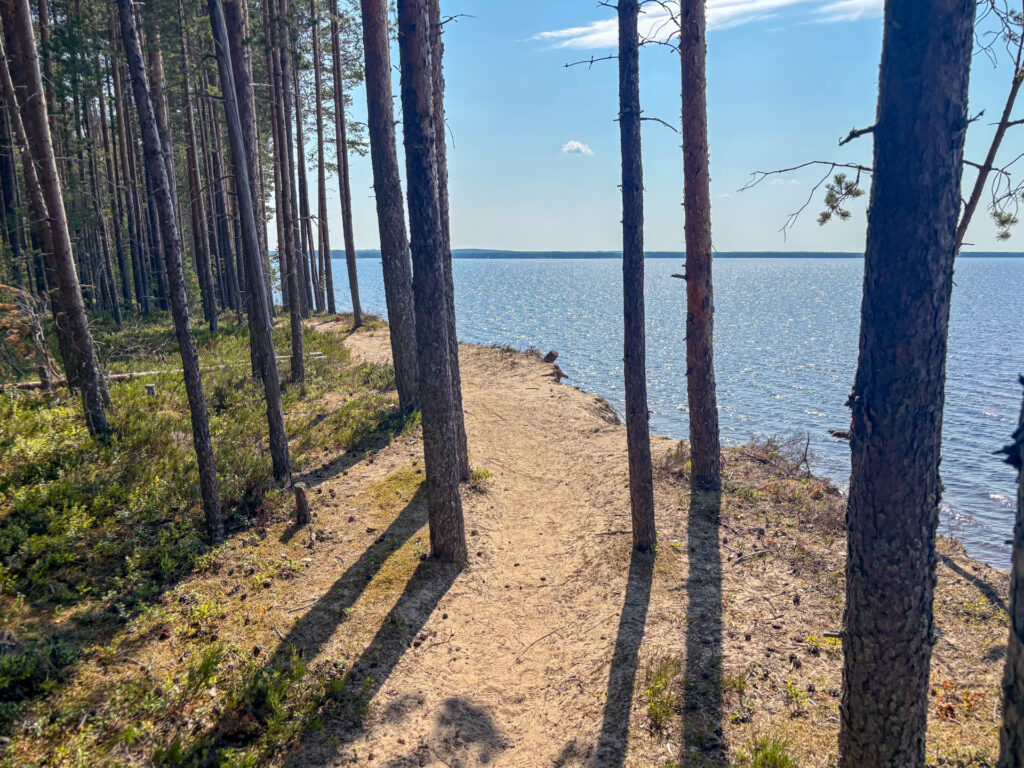 Kuva Ärjänsaaren hiekkatörmältä Oulujärveä kohti